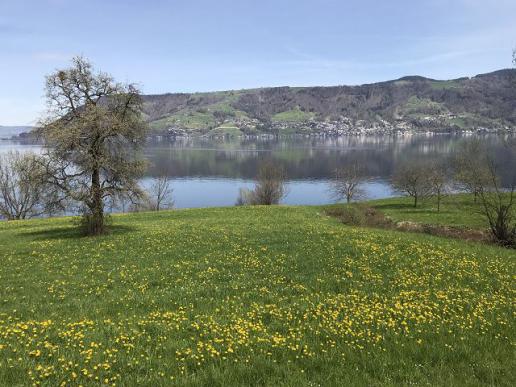 Zugersee