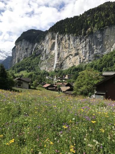 Lauterbrunnen mit Frühlingsblumen