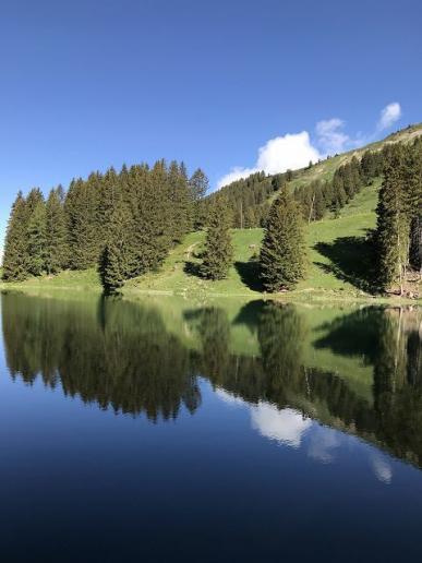 Klarer Frühsommermorgen
