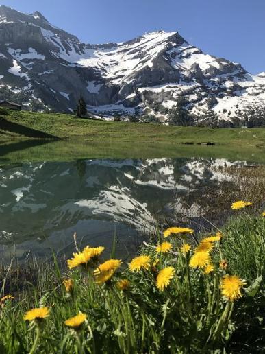 Waadtländer Schönheit