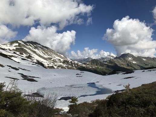 Blick ins Berner Oberland