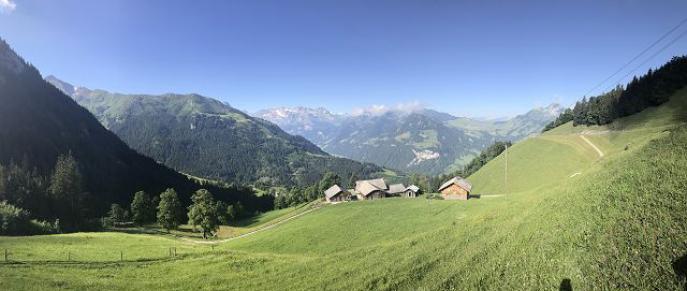 Oberhalb Niederrickenbach