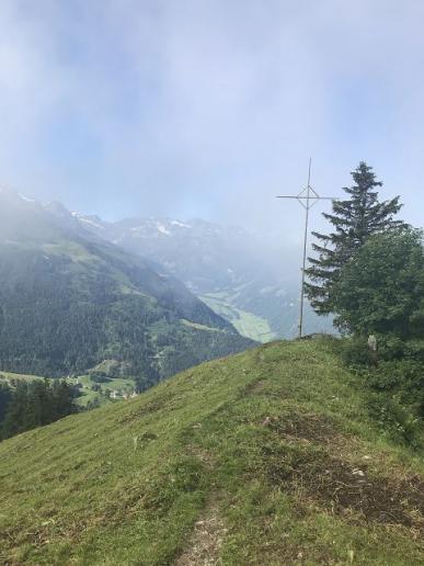 Nebelschwaden im Juni