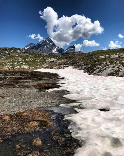 Sommer trifft Winter