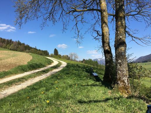 Im Tal ist der Schnee wieder weg