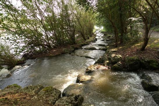 Romatnischer Aarezufluss