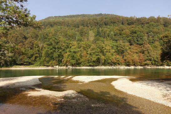 Es wird Herbst an der Aare