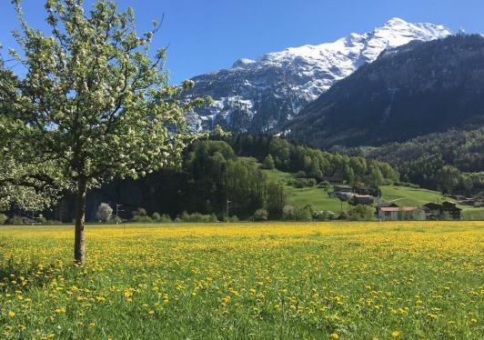 Meiringen