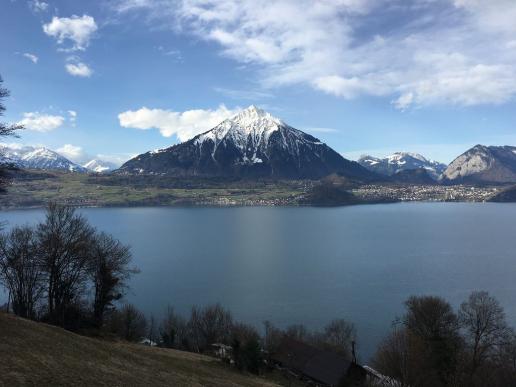 Niesen von Merligen aus