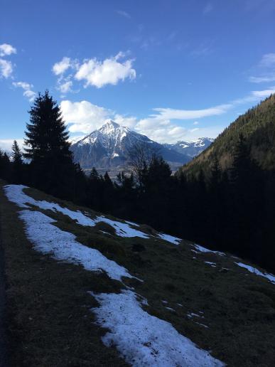 Niesen von Grön aus