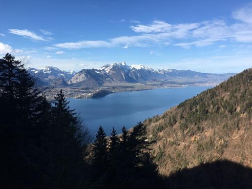 Hoch über dem Thunersee