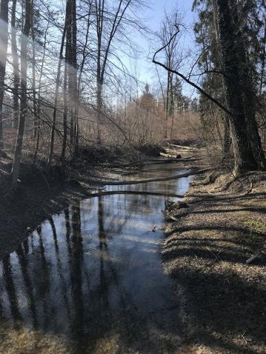 Idyllischer Seitenarm
