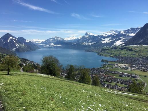 Blick auf den Vierwaldstättersee