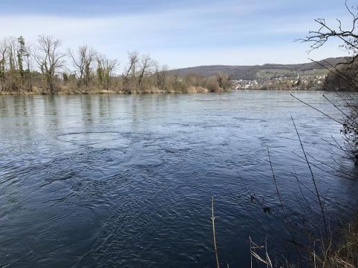Aare