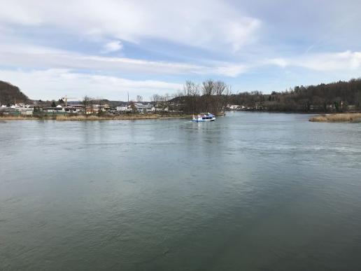 Aaremündung Felsenau Koblenz