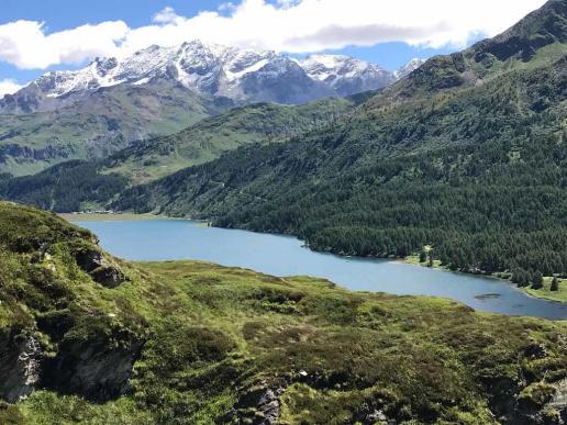 Blick auf den Silsersee
