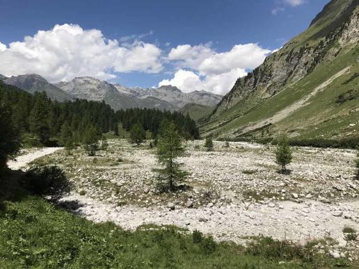 Schwemmebene im Val Forno