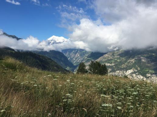 Blick zum Weisshorn
