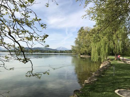 Zugersee bei Cham