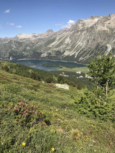 Blick auf den Silsersee
