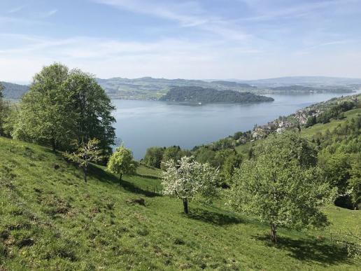 Hoch über dem Zugersee