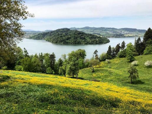 Blick auf den Zugersee