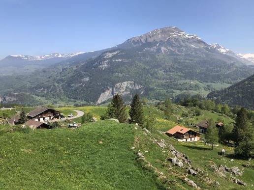 Blick von Unterstock