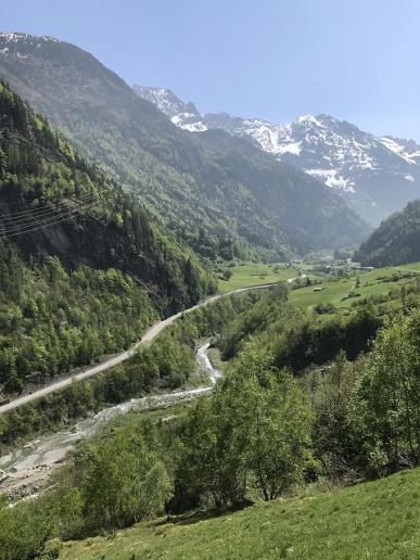 Frühlingshaftes Haslital