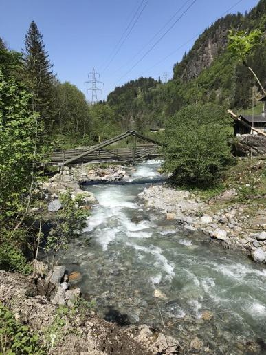 Lebendige junge Aare