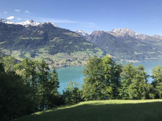 Blick auf den Walensee