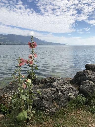 Neuenburgersee bei Yverdon