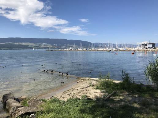 Am Strand bei Cheyres
