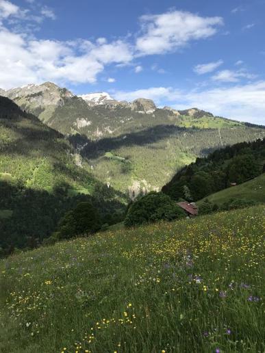 Frühlingssonntagmorgen