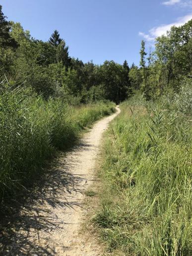 Durch viel Naturschutzgebiet