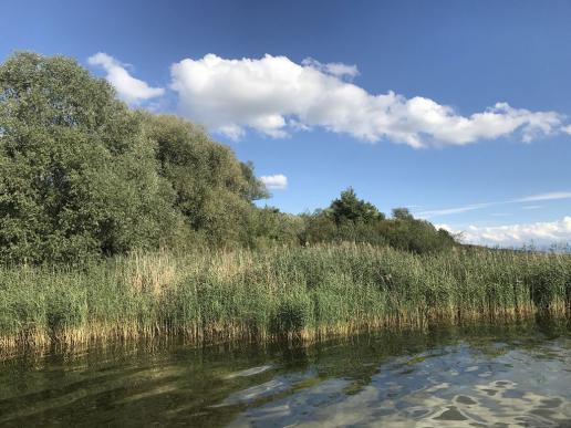 Neuenburgersee bei Gampelen