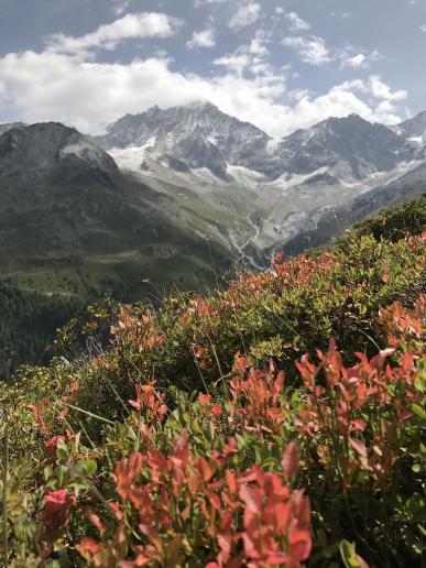 Herbst ist nicht mehr weit