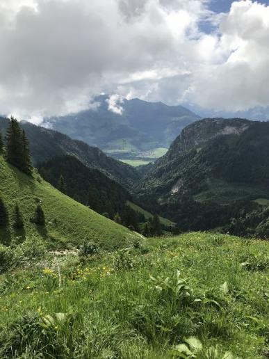 La Haute Gruyère