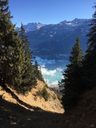 Blick auf den Brienzersee