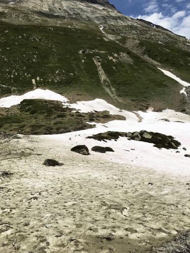 Spuren der Zerstörung