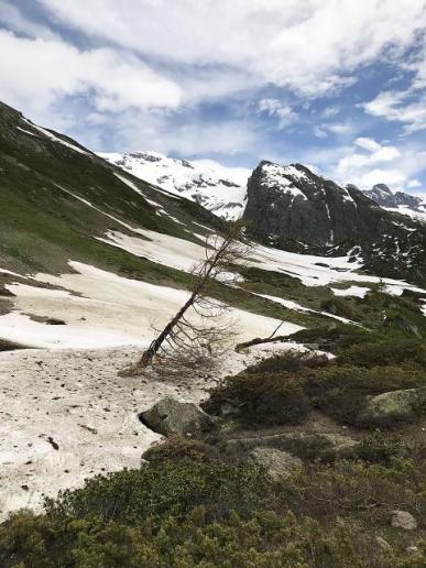 Spuren des harten Winters