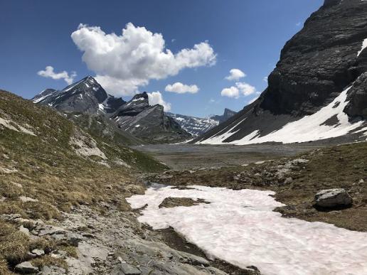Sommer in den Bergen