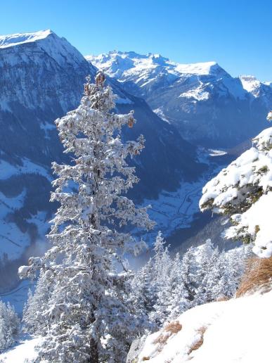 Blick nach Lütschental