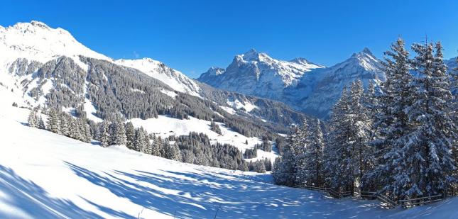 Winterliches Wetterhorn