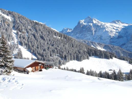 Bussalp mit Wetterhorn