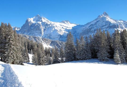 Winterwandern um Grindelwald