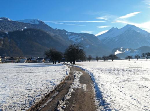 Blick Richtung Hausen