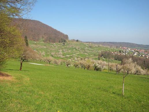 Kulturland Baselland