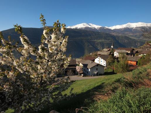 Frühling in Ausserberg