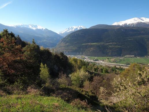 Frühling im Rhônetal