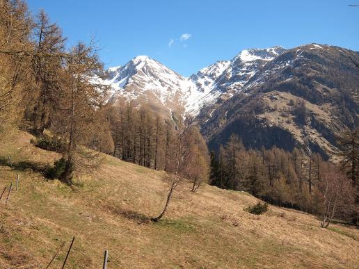 Blick zum Gärst- und Schilthorn